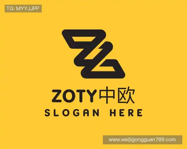 介绍zoty中欧
