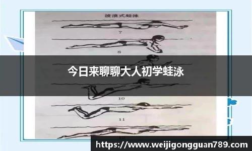 今日来聊聊大人初学蛙泳